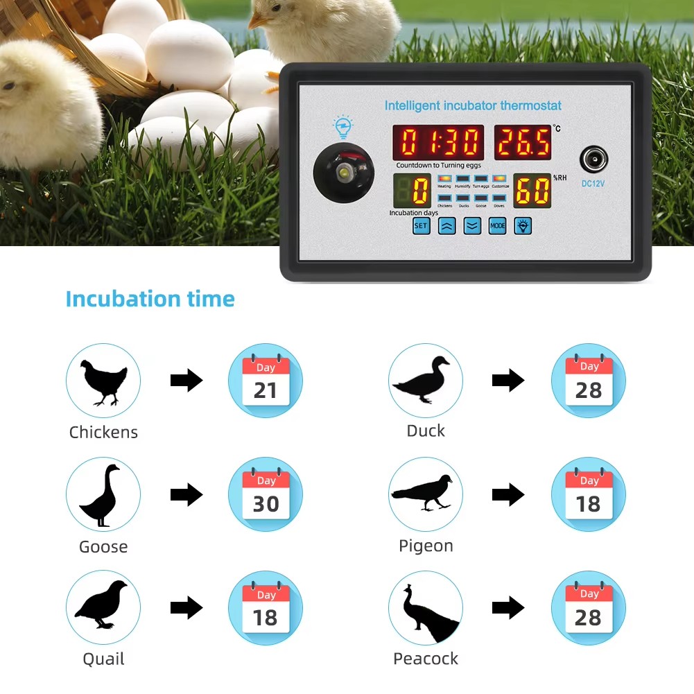 ZFX-W9002 12V/220V Kuluçka Mak - Lab Incubator incelemesi ve fiyatı